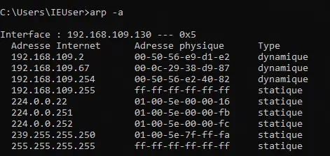 Une capture d&rsquo;écran de la console windows indiquant le contenu de la table ARP